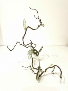 les vitrines de l'art